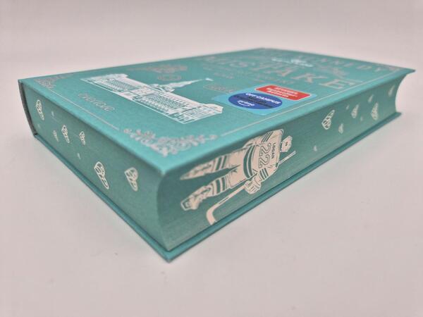 Außenansicht des Buches „The Mistake – Niemand ist perfekt“