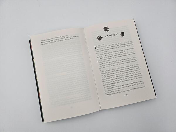 Außenansicht des Buches „Crimson Sky – Die Seelenjägerin“