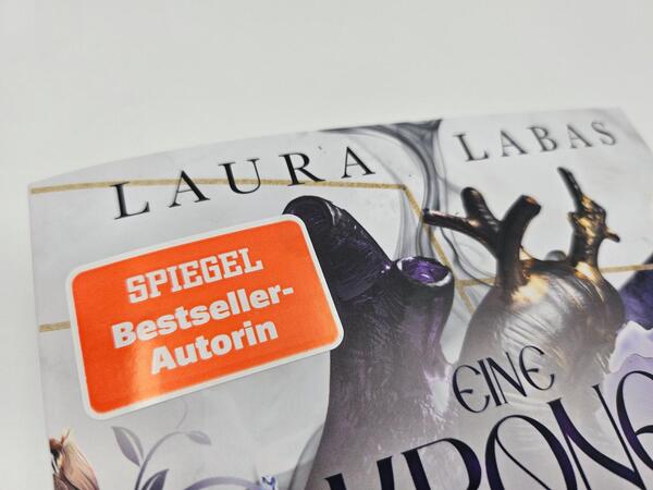 Außenansicht des Buches „Eine Krone aus Herz und Asche “