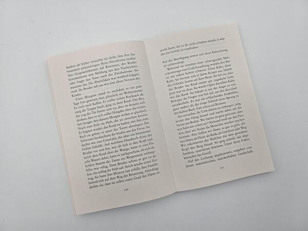 Außenansicht des Buches „Brüderchen“
