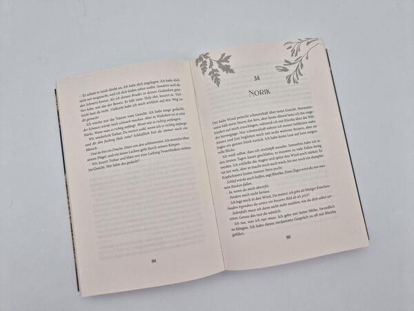 Außenansicht des Buches „In Fire and Rain – Feuerherz“