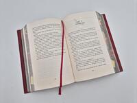 Außenansicht des Buches „A Stage set for Villains (Deluxe-Ausgabe)“