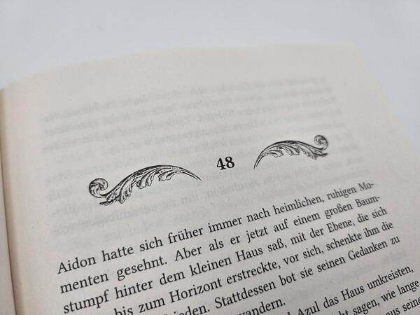 Außenansicht des Buches „The Curse of Gods“