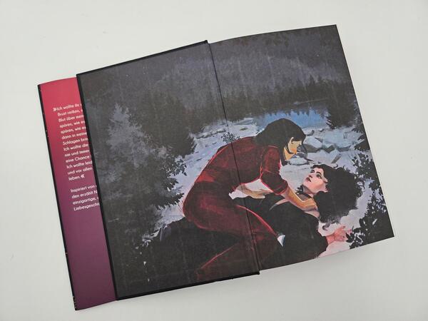 Außenansicht des Buches „Twelve of Nights – Das gestohlene Herz“
