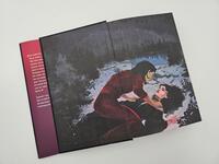 Außenansicht des Buches „Twelve of Nights – Das gestohlene Herz“