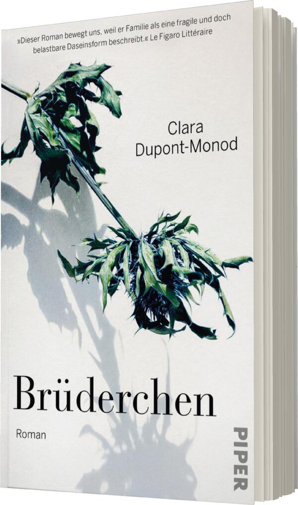Das Buchcover zeigt eine minimalistische Darstellung mit einem leicht grauen Hintergrund. Im Mittelpunkt ist eine sorgsam gestylte, grüne Pflanze, die aus dem unteren Bildbereich emporwächst. Der Titel „Brüderchen“ ist in eleganter, schwarzer Schrift platziert und wird von dem Zusatz „Roman“ in kleinerer Schriftgröße begleitet. Der Name der Autorin, Clara Dupont-Monod, steht oberhalb der Pflanze in schwarzer Schrift. Das Cover vermittelt eine ruhige und nachdenkliche Atmosphäre.