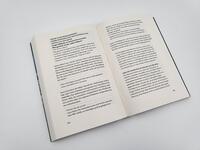 Innenansicht des Buches „Brandmal“
