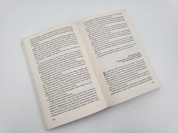 Innenansicht des Buches „Die Rache der Zwerge“