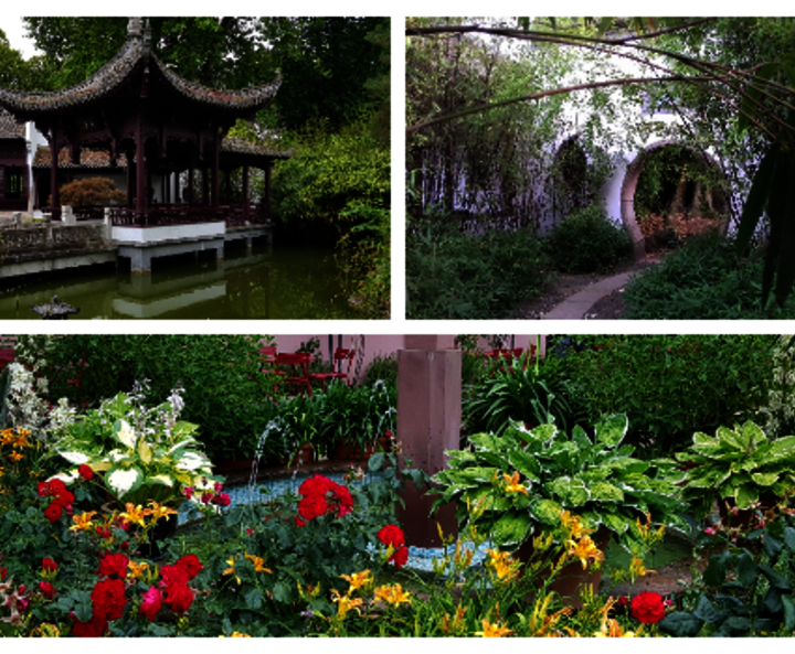 Setting: Bethmannpark