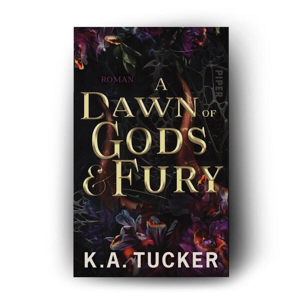 Außenansicht des Buches „A Dawn of Gods & Fury“