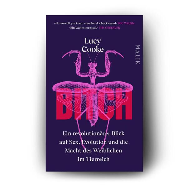 Außenansicht des Buches „Bitch – Ein revolutionärer Blick auf Sex, Evolution und die Macht des Weiblichen im Tierreich“