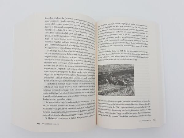 Innenansicht des Buches „Gewalt und Mitgefühl“
