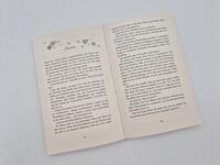 Außenansicht des Buches „Love Letter Agency“