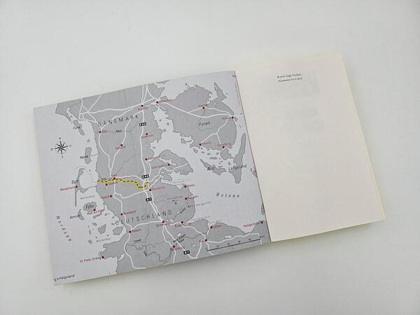 Außenansicht des Buches „Niemand hört dich“