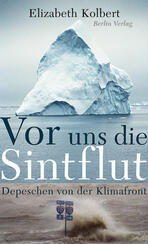 Vor uns die Sintflut
