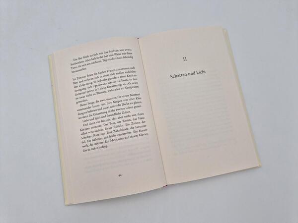 Außenansicht des Buches „Die Linkshänderinnen“