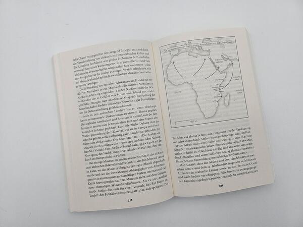 Außenansicht des Buches „Eine afrikanische Geschichte Afrikas“