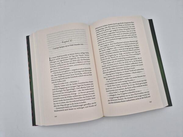 Außenansicht des Buches „Thron der Diebe“