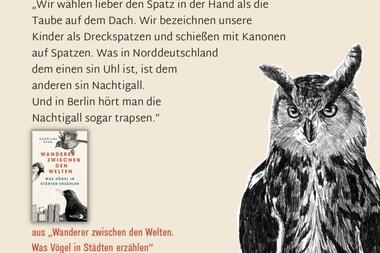 Vögel in Städten