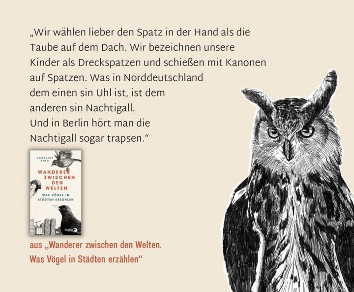Vögel in Städten