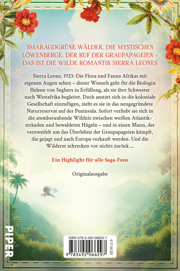 Rückansicht des Buches „Hoch über Afrika“