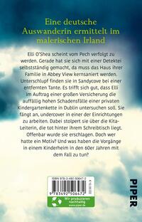Rückansicht des Buches „Tödliches Dublin“