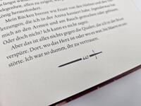 Außenansicht des Buches „Bloodguard“