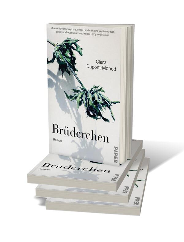 Bücherstapel des Buches „Brüderchen“