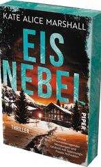 Eisnebel