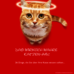 Katzen