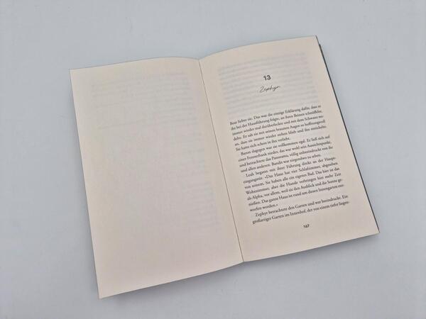 Außenansicht des Buches „The Finisher – Du bist sein Verhängnis “