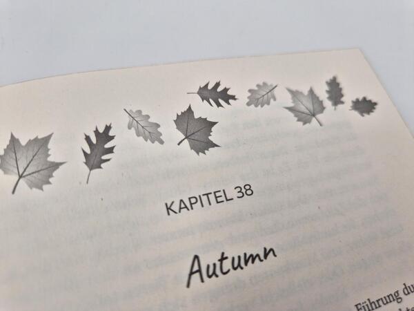 Außenansicht des Buches „Fall I Want“