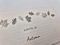 Außenansicht des Buches „Fall I Want“