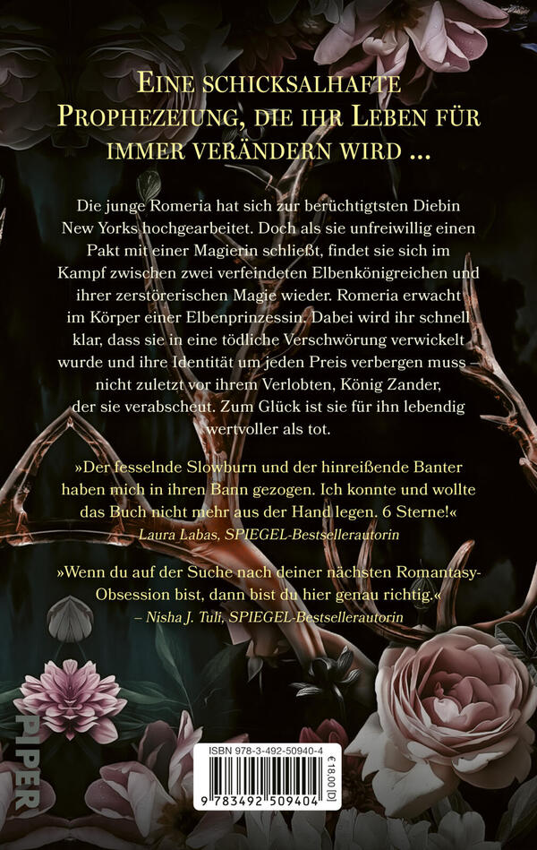 Rückansicht des Buches „A Fate of Wrath & Flame“