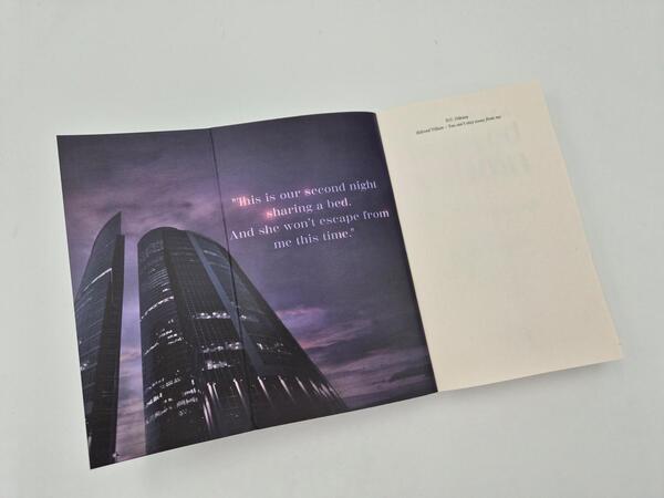 Außenansicht des Buches „Beloved Villain – You can't stay away from me (English Edition)“