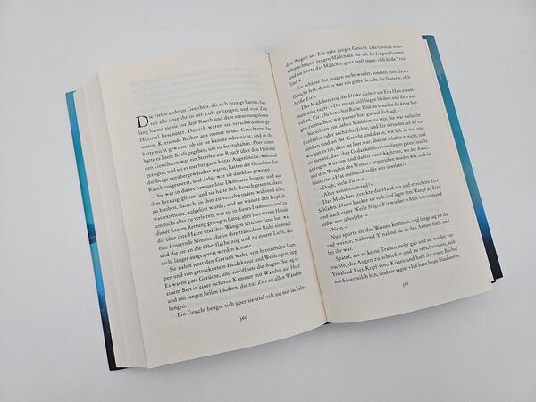 Innenansicht des Buches „Eisiges Land“