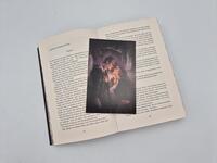Außenansicht des Buches „The Truths we burn“