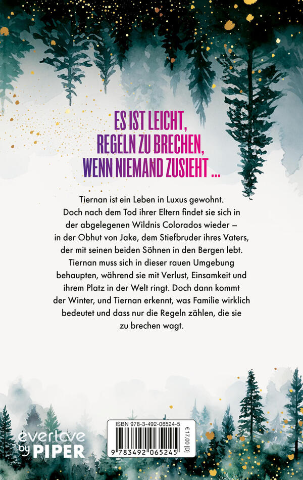 Rückansicht des Buches „Credence – Sie ist tabu, doch Liebe kennt keine Regeln“