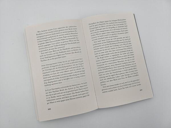 Außenansicht des Buches „Verdammte Weiber“