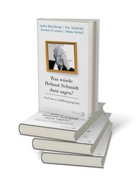 Bücherstapel des Buches „Was würde Helmut Schmidt dazu sagen?“