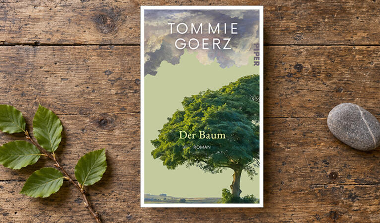 Die Romane von Tommie Goerz