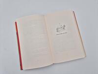 Außenansicht des Buches „Sommerleuchten über der Freitagsbuchhandlung “