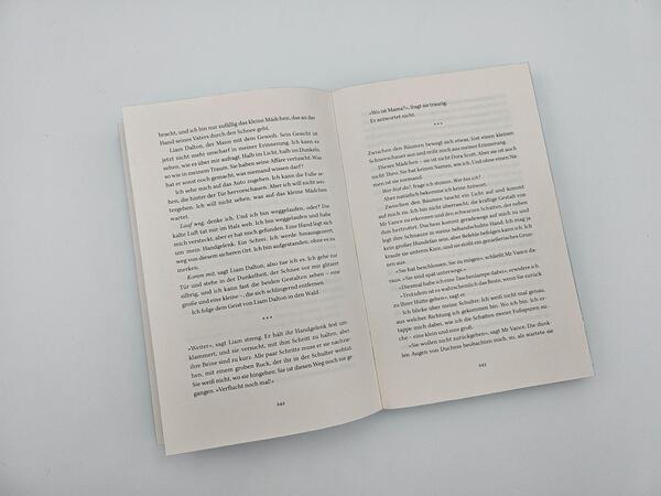 Außenansicht des Buches „Eisnebel“