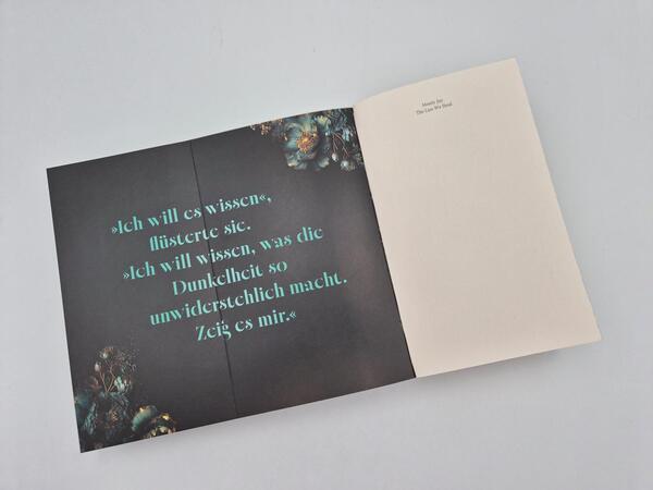 Außenansicht des Buches „The Lies we steal“