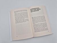 Außenansicht des Buches „This is America – is this America?“