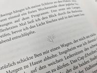 Außenansicht des Buches „Korallenrosa“