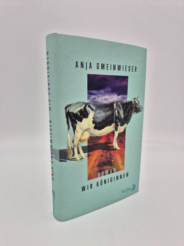 Außenansicht des Buches „Wir Königinnen“