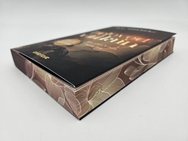 Außenansicht des Buches „Beloved Villain – You can't run from me (English Edition)“