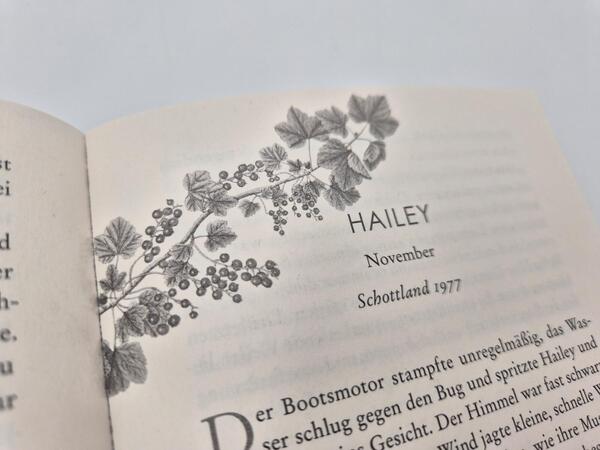 Außenansicht des Buches „Die Wellentochter“