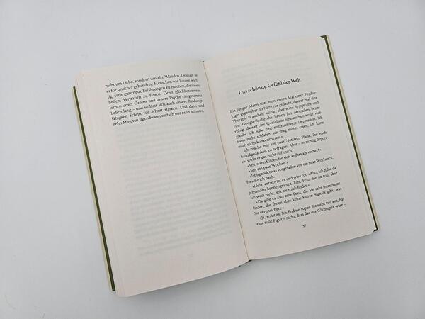 Außenansicht des Buches „Fühlen, was ist“